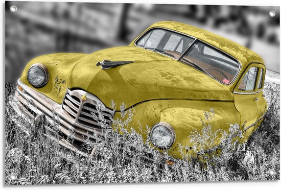 Tuinposter – Gele Retro Auto in het Gras - 90x60cm Foto op Tuinposter  (wanddecoratie voor buiten en binnen)