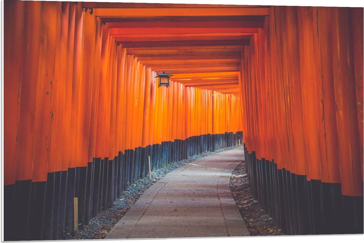 Forex - Gang van Oranje Palen - 90x60cm Foto op Forex