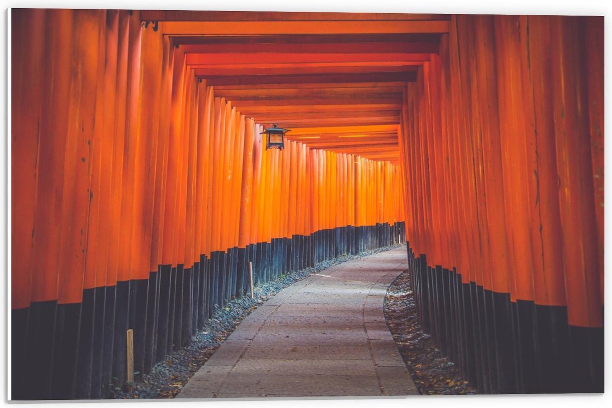 Forex - Gang van Oranje Palen - 60x40cm Foto op Forex