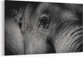 Schilderij - Elephant — 100x70 cm