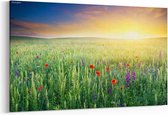 Schilderij - Colorful blossom field — 90x60 cm