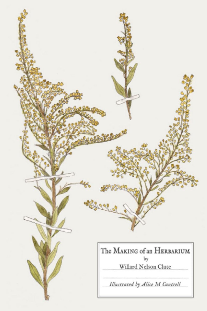 Handleiding Planten Pressen en Drogen: Klassieke Herbarium Gids (Herdruk)