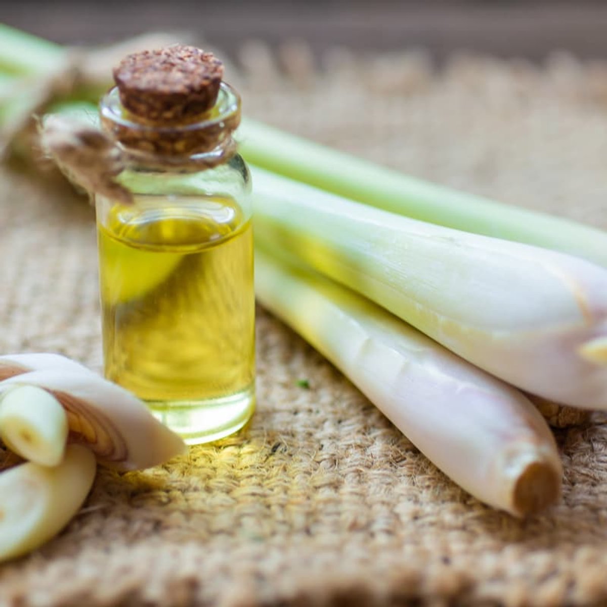 Lemongrass Etherische Olie - 10 ml