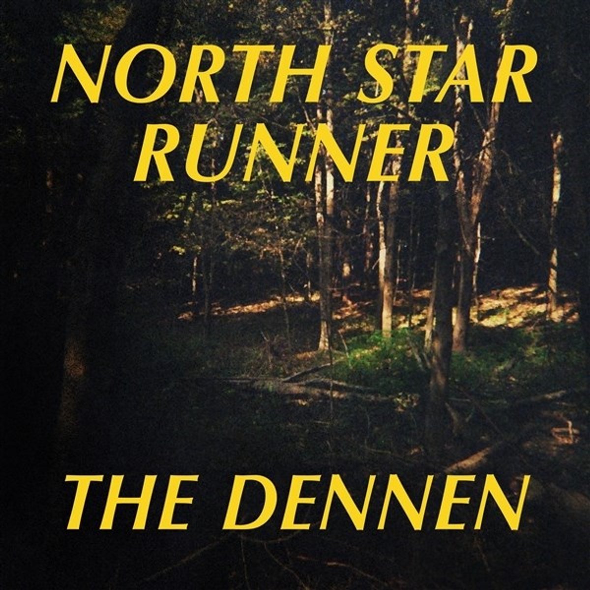 North Star Runner - The Dennen (2 LP)