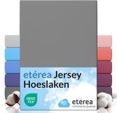 etérea Hoeslaken Jersey 90x200 - 100x200 cm Oekotex Made in Green - 100% coton - Grijs
