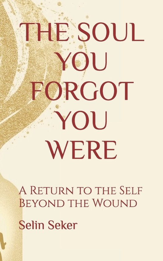 The Soul You Forgot You Were - cover