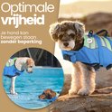 Kleine hond in blauw zwemvest met groene en paarse strepen, vinnen, zwemmend in zwembad en zittend op strand.