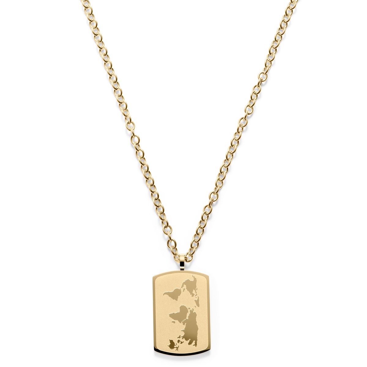 Lucleon - Heren - Roestvrij Staal Schakelketting - Goudkleurig
