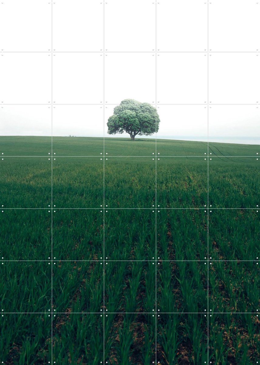 IXXI The lonely Oak Tree, Christian Lindsten & Various - 100 x 140 cm - Gratis ophangtool - Grote wanddecoratie en posters - Fotografie, Minimalisme