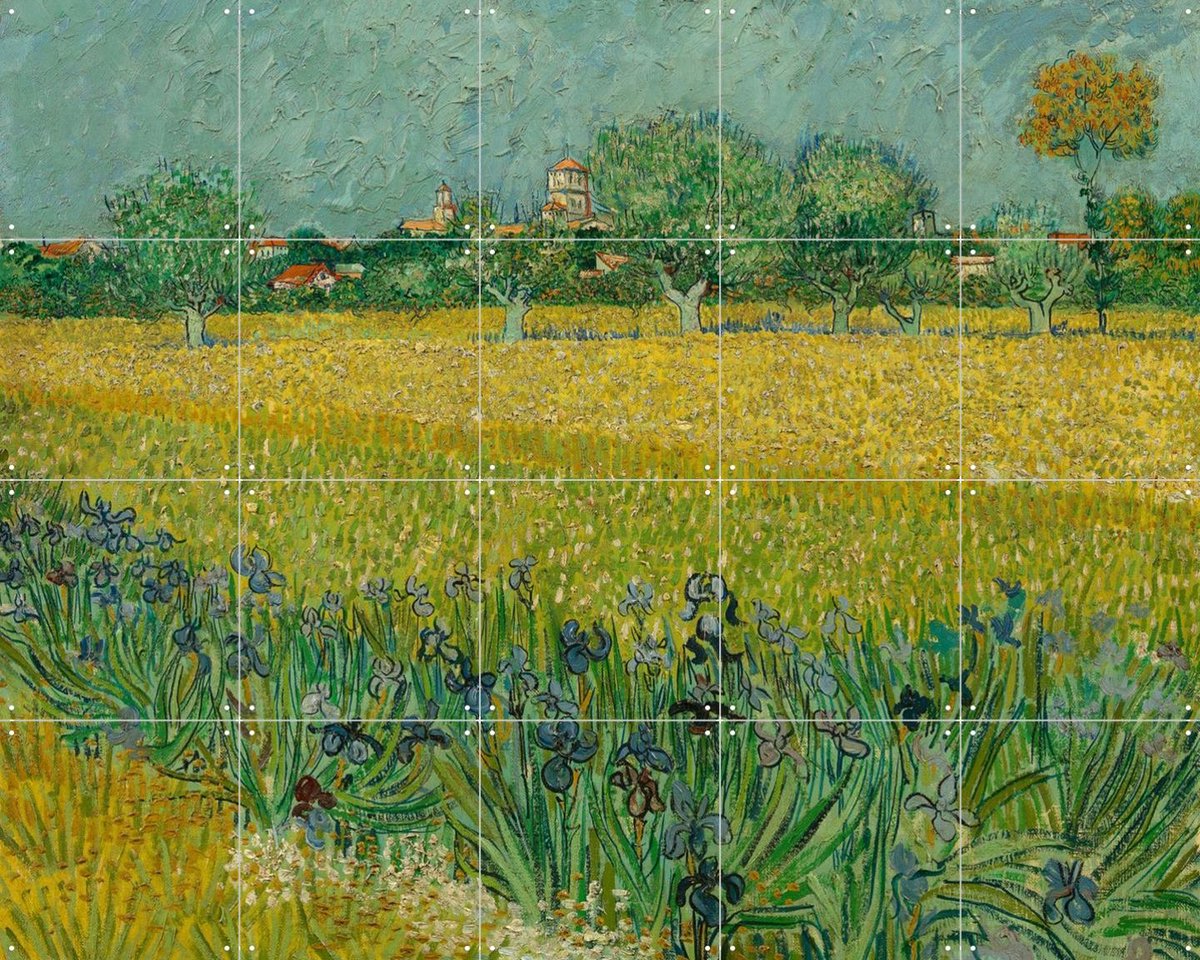 IXXI Veld met irissen bij Arles, Vincent van Gogh (1853 - 1890) & Van Gogh Museum - 100 x 80 cm - Gratis ophangtool - Grote wanddecoratie en posters -