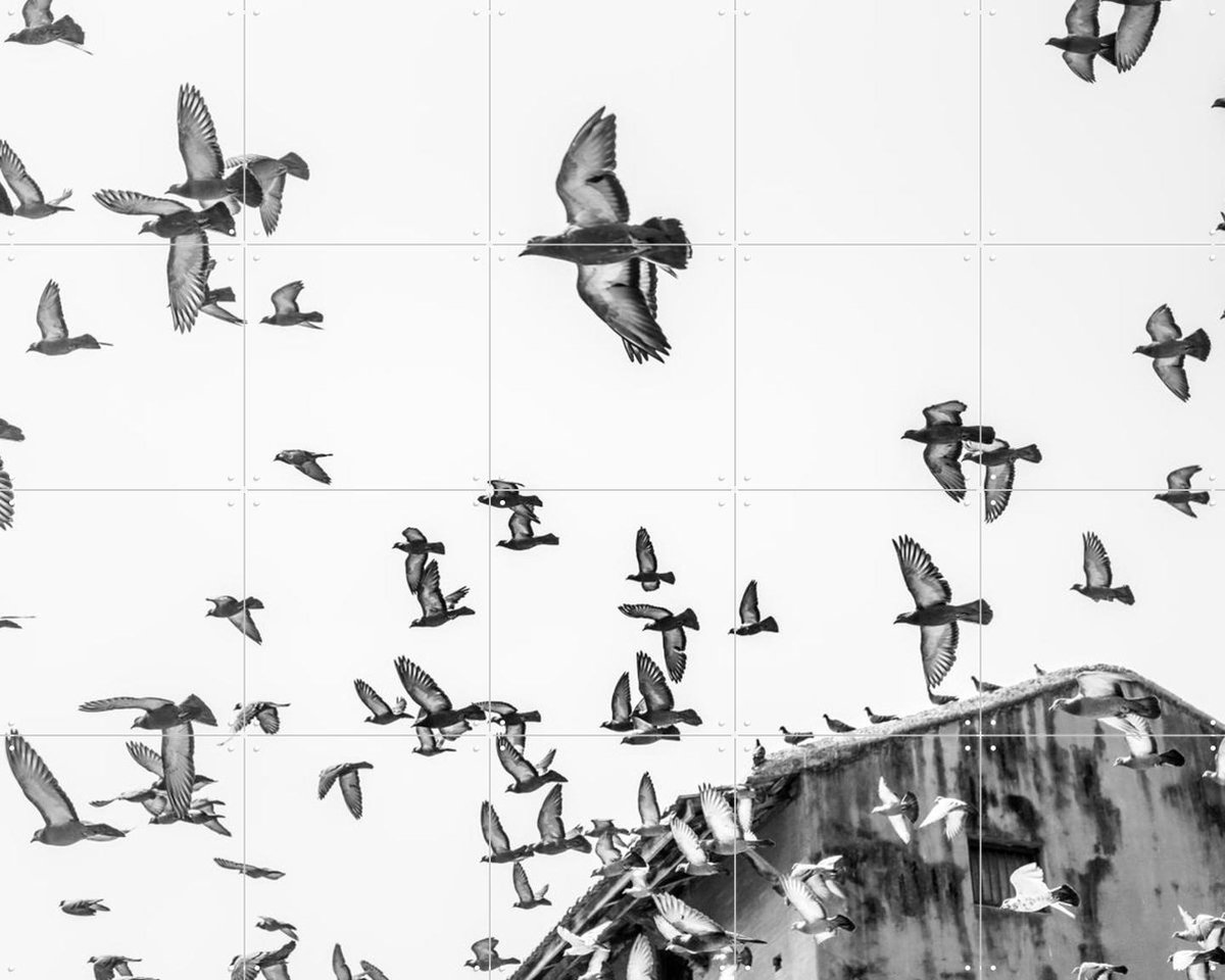 IXXI Birds in the Sky, Photolovers - 100 x 80 cm - Gratis ophangtool - Grote wanddecoratie en posters - Fotografie, Woonkamer, Slaapkamer, Natuur