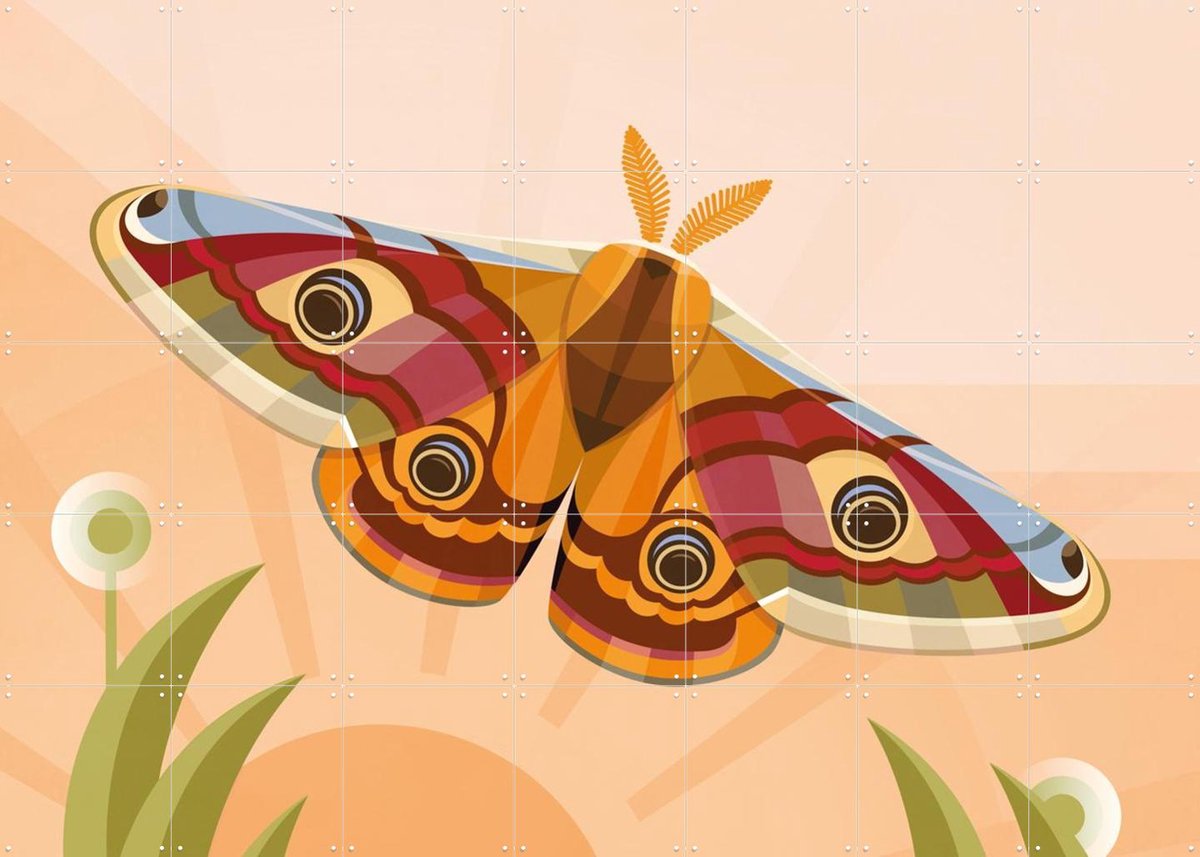 IXXI Nachtpauwoog Vlinder, Elke Uijtewaal - 140 x 100 cm - Gratis ophangtool - Grote wanddecoratie en posters - Illustraties, Grafisch Ontwerp