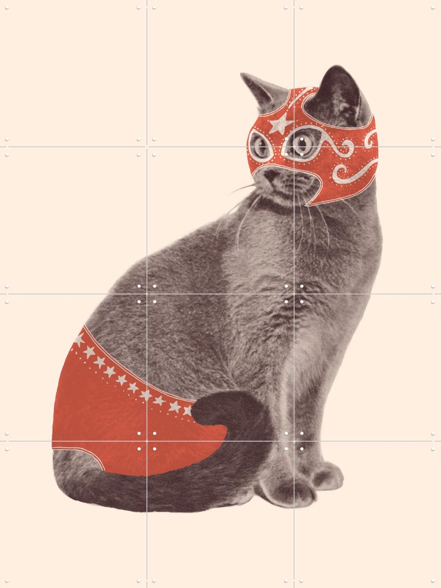 IXXI Chat Catcheur, Florent Bodart - 60 x 80 cm - Gratis ophangtool - Grote wanddecoratie en posters - Fantasierijk, Speels, Vintage, Illustraties