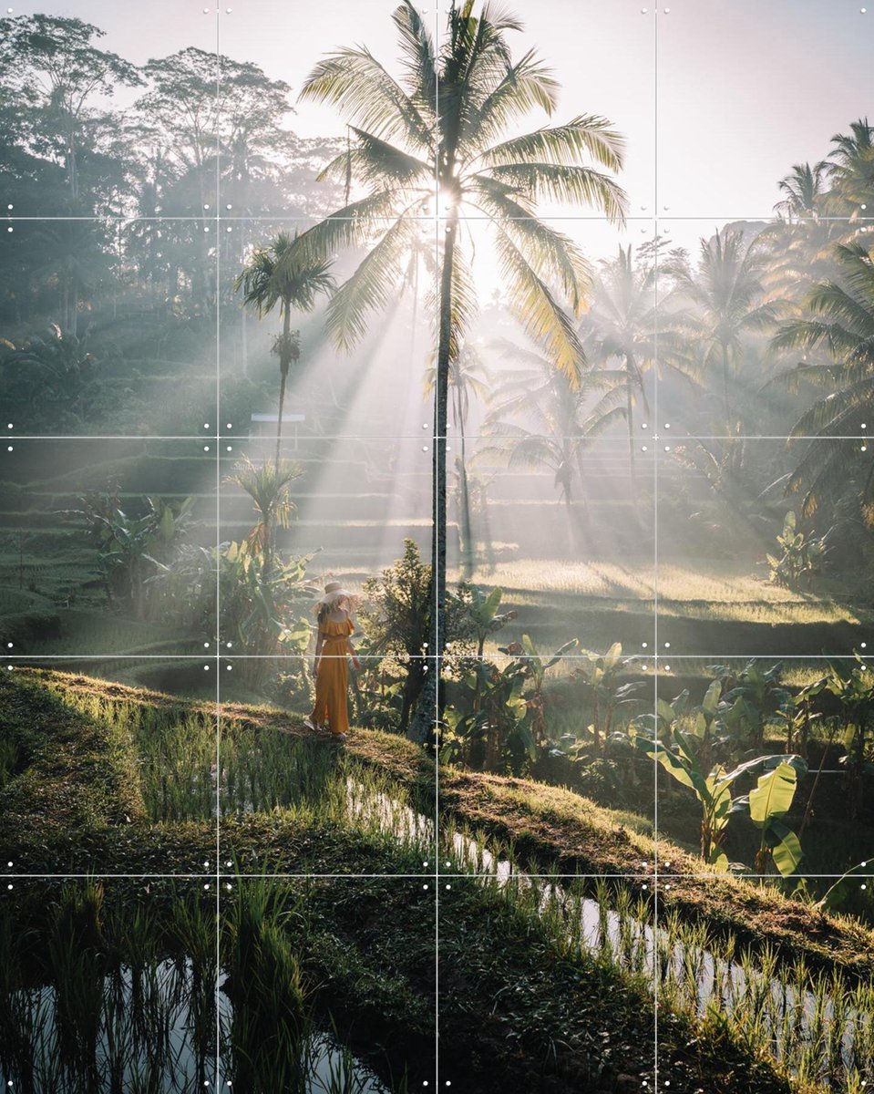 IXXI Bali, Tristan Zhou - 80 x 100 cm - Gratis ophangtool - Grote wanddecoratie en posters - Fotografie, Kleurrijk, Naturalisme, Woonkamer