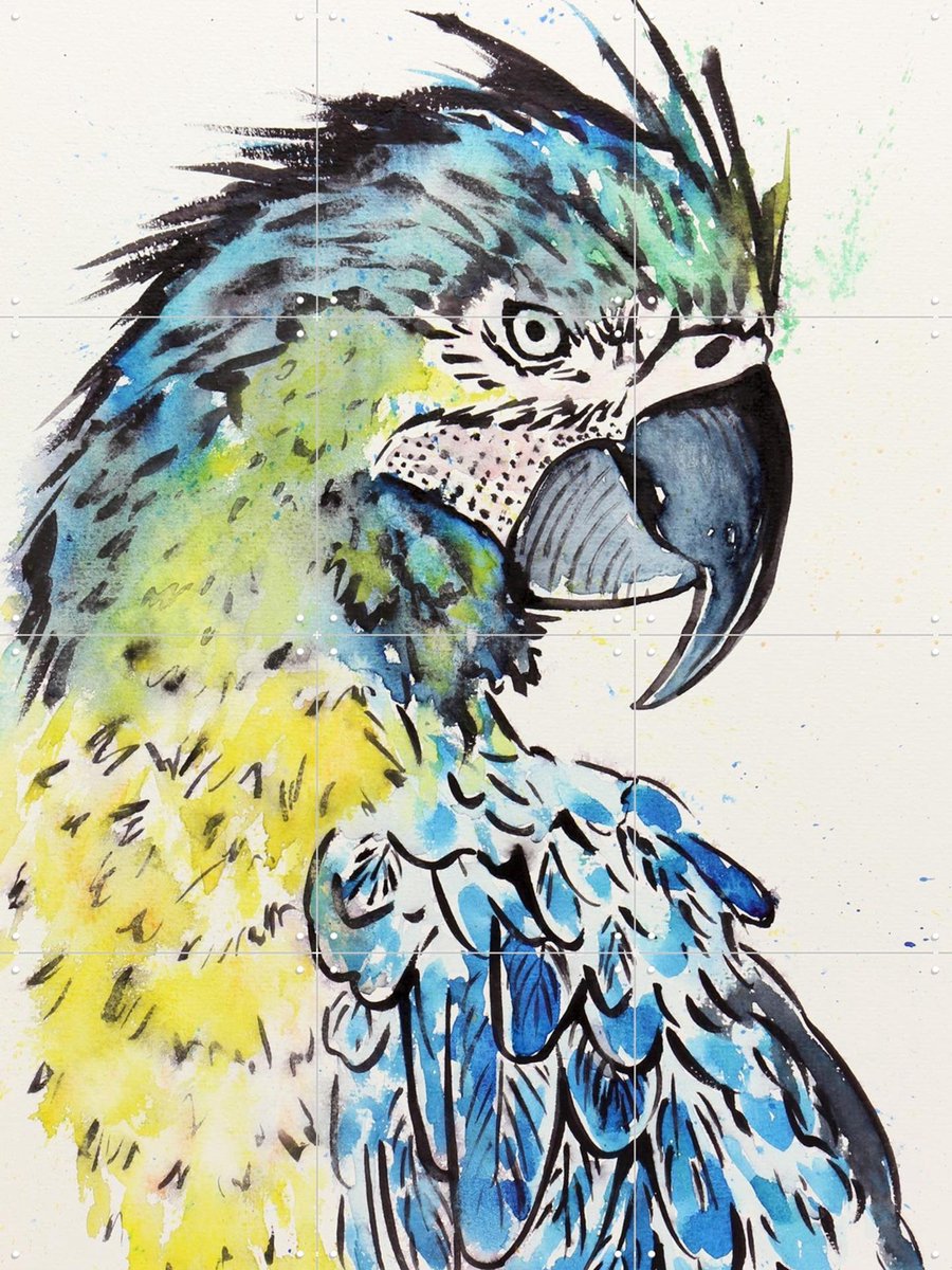 IXXI The Blue Macaw Parrot, Natalie Bruns - 60 x 80 cm - Gratis ophangtool - Grote wanddecoratie en posters - Illustraties, Kleurrijk, Aquarel