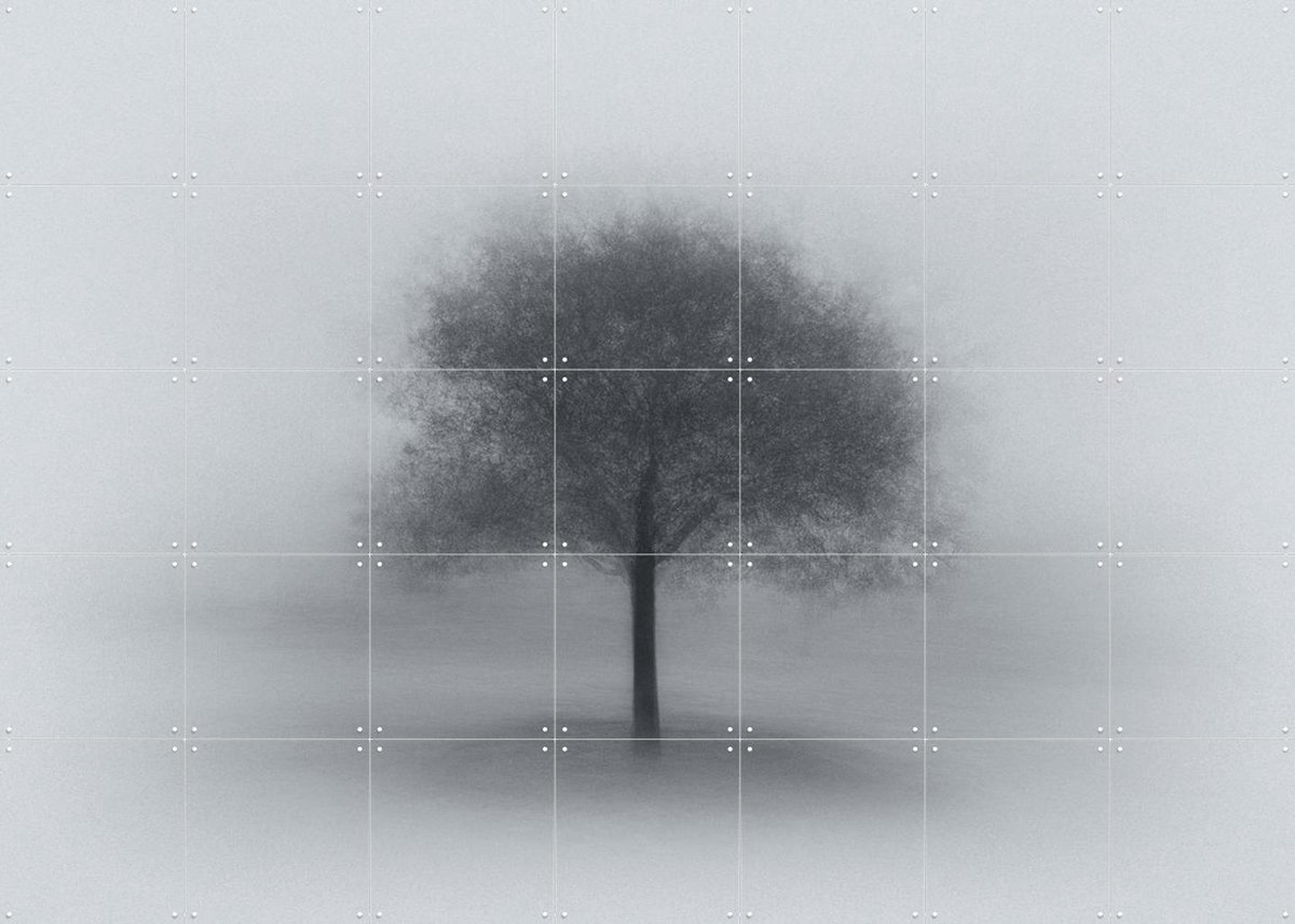 IXXI Tree in Fog, Aidong Ning & Various - 140 x 100 cm - Gratis ophangtool - Grote wanddecoratie en posters - Fotografie, Minimalisme, Slaapkamer