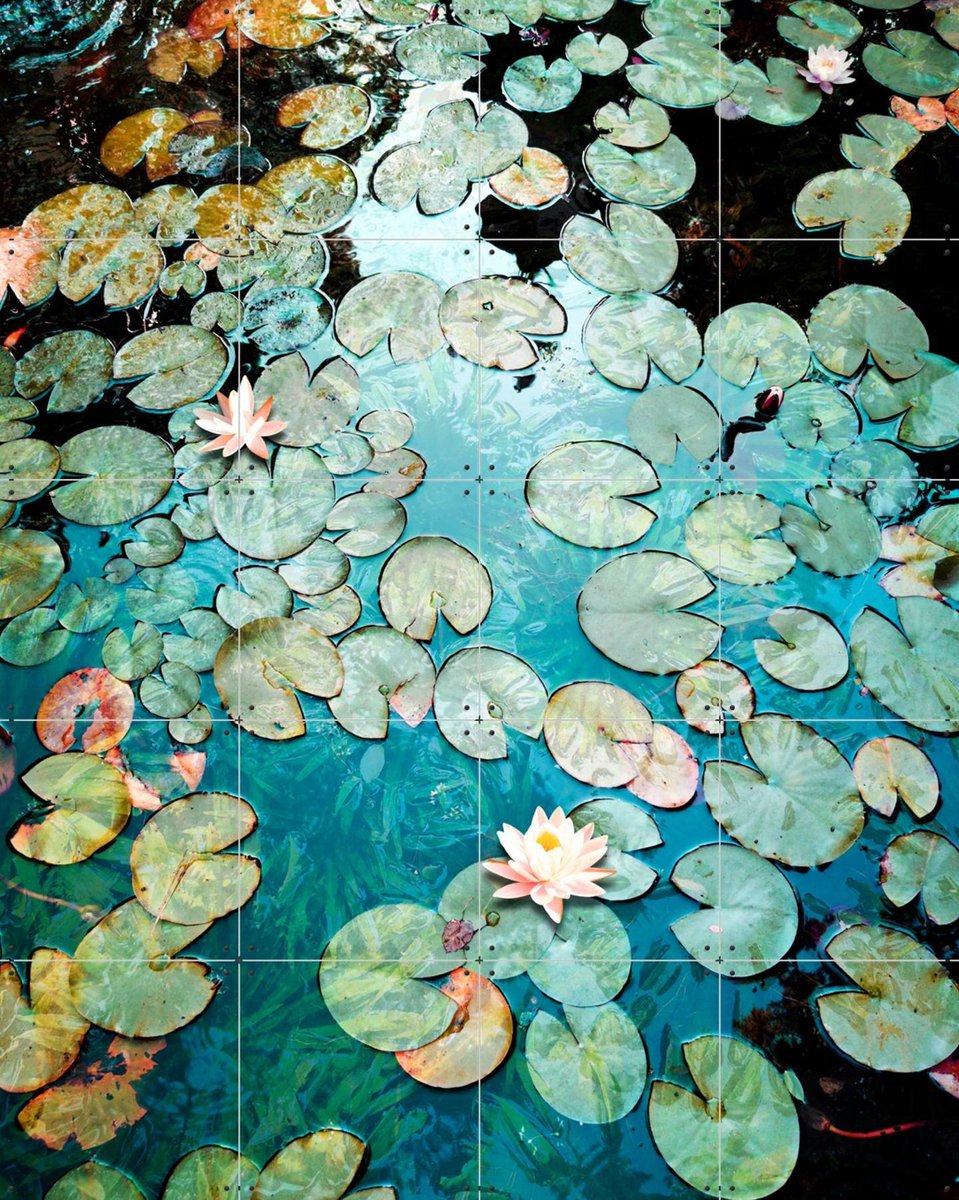 IXXI Waterlilies, Angelo Cerantola - 80 x 100 cm - Gratis ophangtool - Grote wanddecoratie en posters - Fotografie, Impressionisme, Naturalisme