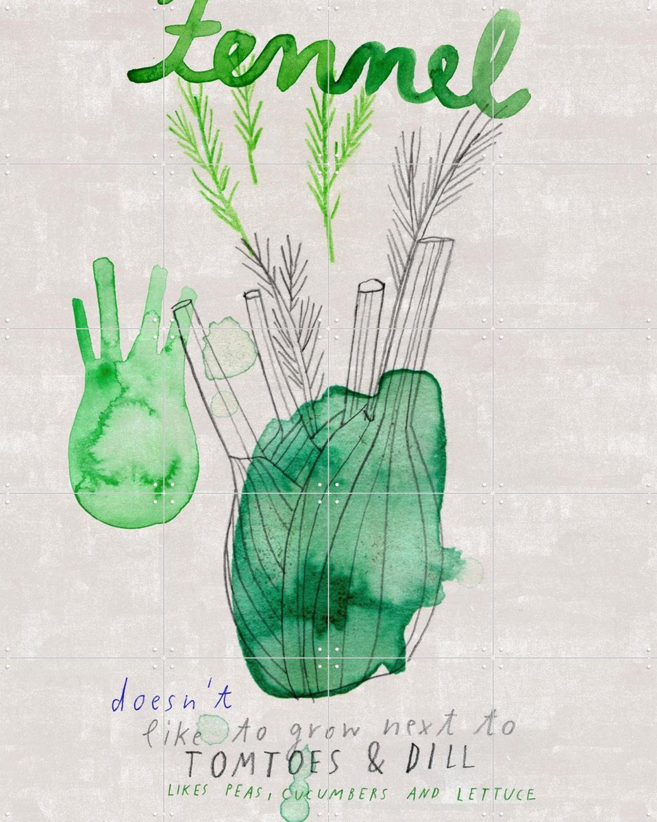 IXXI Fennel, Signorinah - 80 x 100 cm - Gratis ophangtool - Grote wanddecoratie en posters - Speels, Aquarel, Line art, Illustraties, Keuken