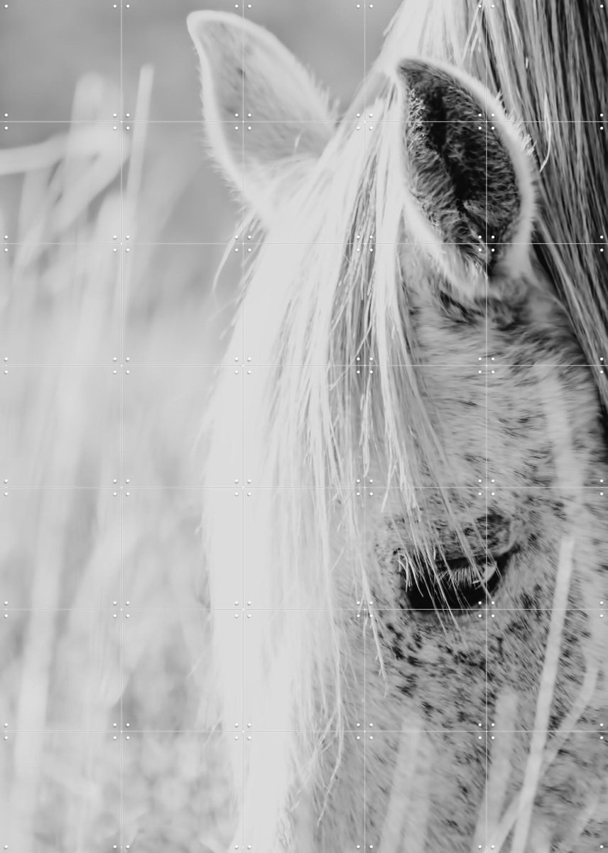 IXXI Wild Horse Indie Rose, Ingrid Beddoes - 100 x 140 cm - Gratis ophangtool - Grote wanddecoratie en posters - Fotografie, Woonkamer, Slaapkamer