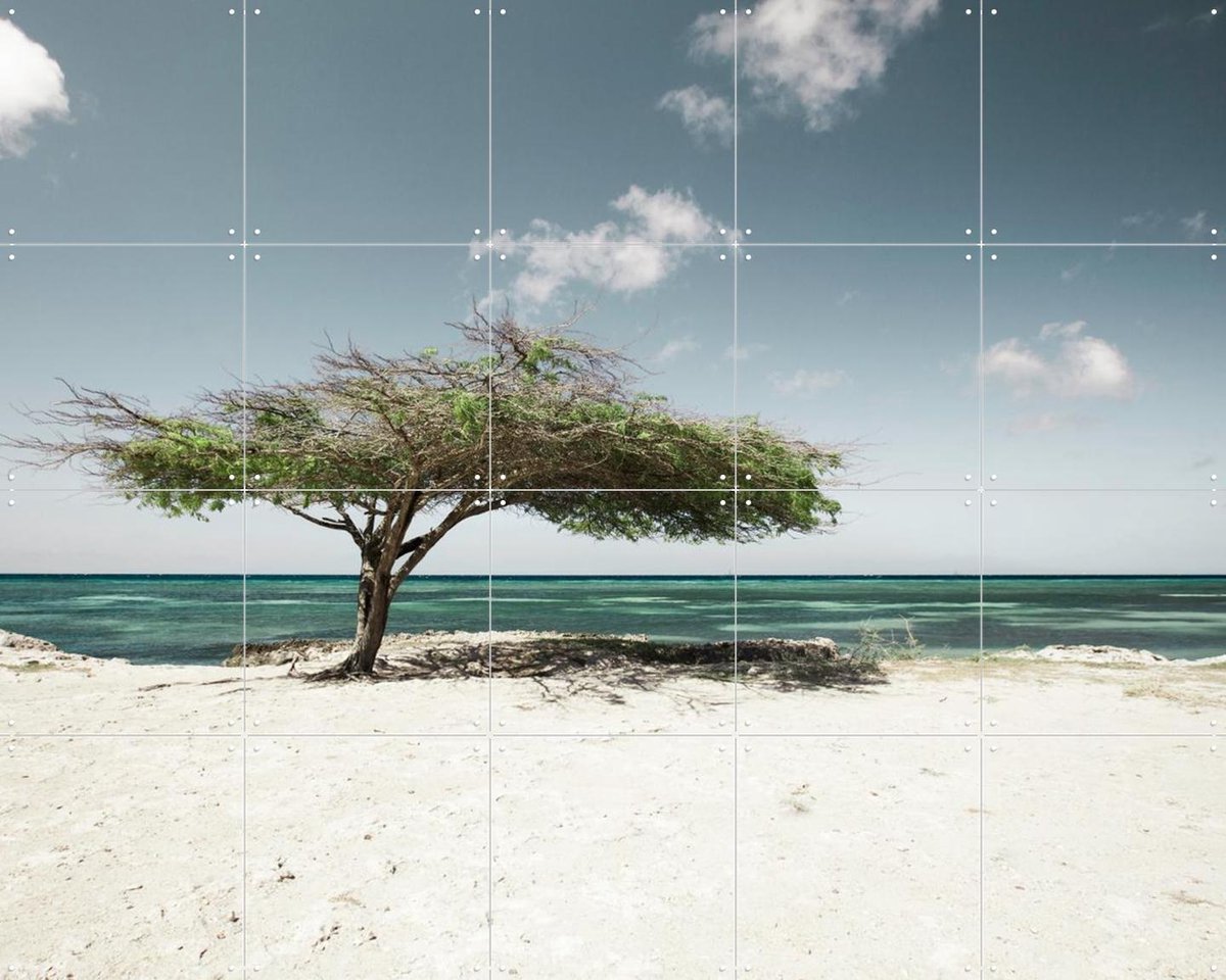 IXXI Tropical Views, Claire Droppert - 100 x 80 cm - Gratis ophangtool - Grote wanddecoratie en posters - Surrealisme, Realisme, Minimalisme