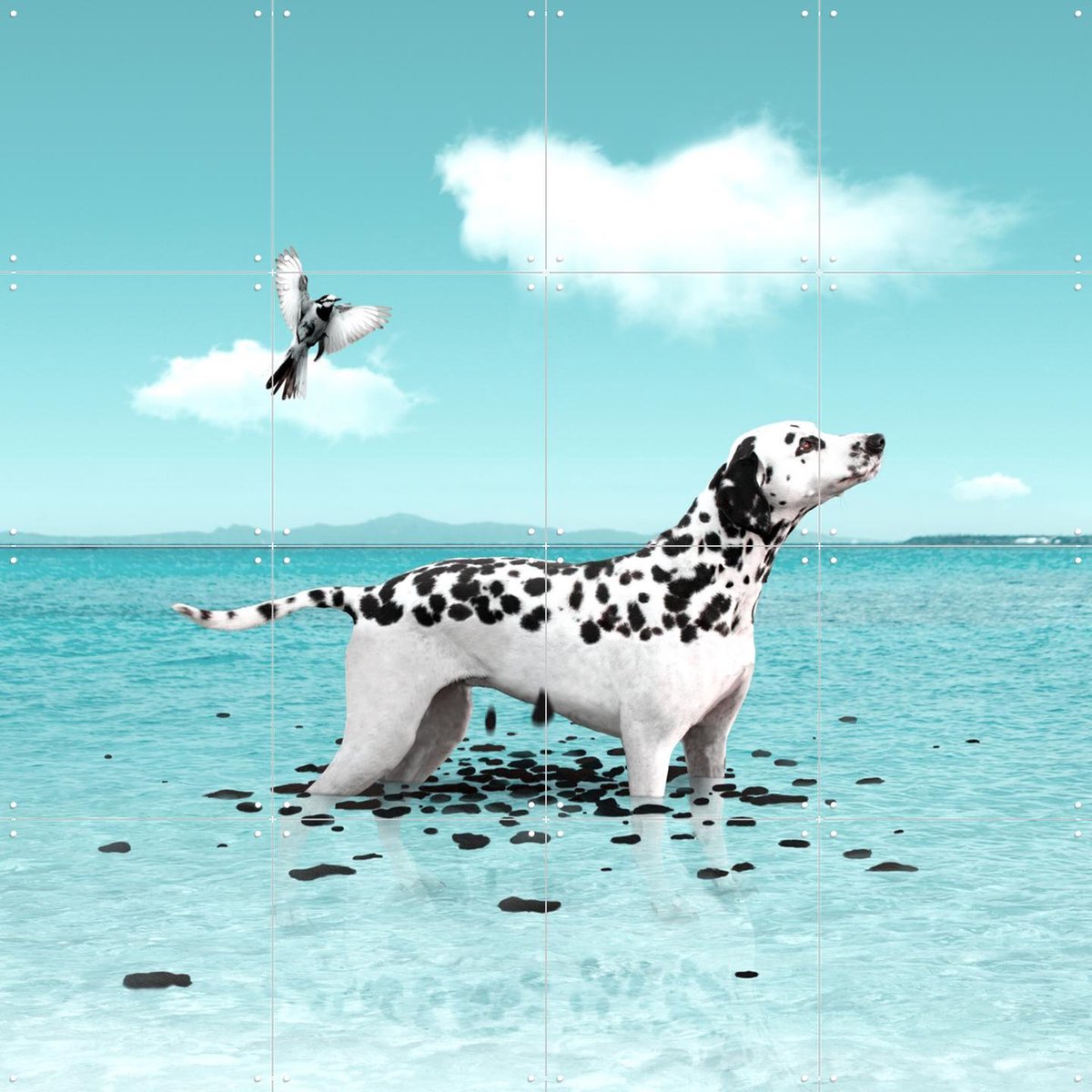 IXXI Ephemeral, Julien Tabet - 80 x 80 cm - Gratis ophangtool - Grote wanddecoratie en posters - Fotografie, Surrealisme, Digitale Kunst, Woonkamer
