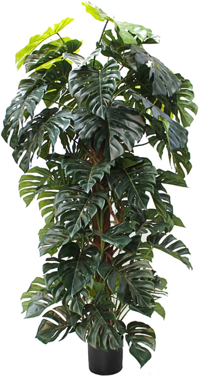 Monstera Kunstplant 180cm