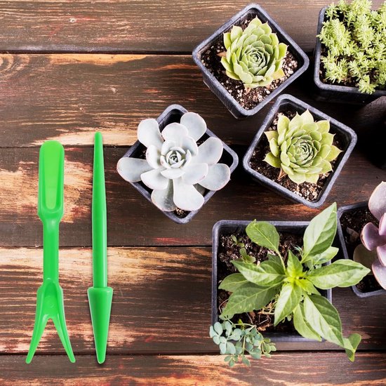 6 stuks Succulent Verplant Gereedschap Set - mini handgereedschap - voor het zaaien en uitgraven van zaailingen - tuingereedschapsets tuinieren - Mini-tuin verplantingsgereedschap - Geschikt voor het verplanten van vetplant - en moszaailingen — afbeelding 3