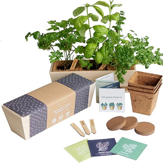 Kruiden Kweekset Starter Kit met Houten Kweekbak – Basilicum, Munt & Oregano – 3...