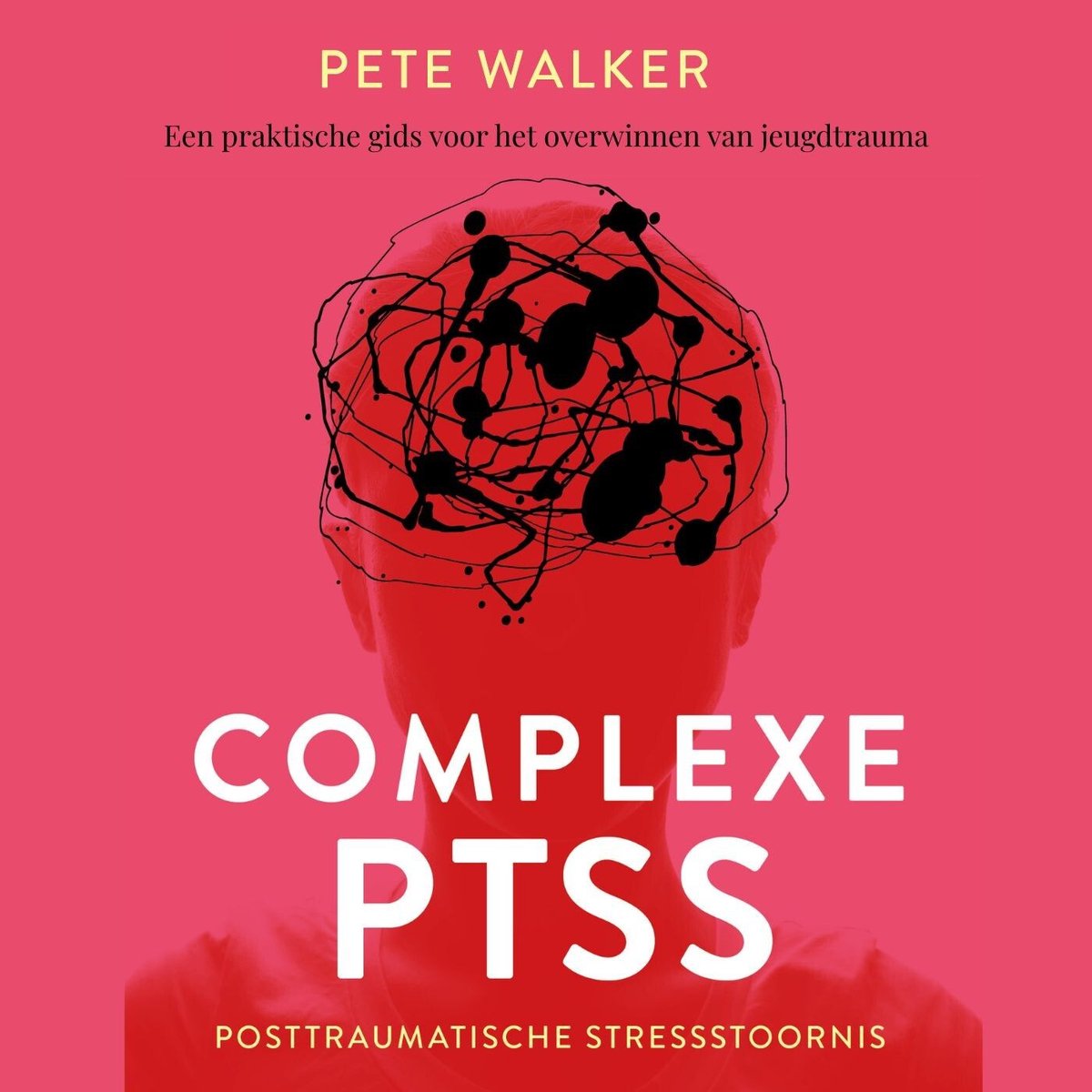 Omslag van Complexe PTSS