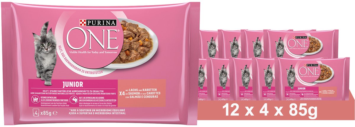 PURINA ONE Junior Kittenvoer nat met zalm & wortelen, (12 x 4 x 85g)