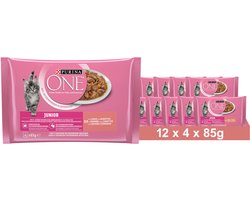 PURINA ONE Junior Kittenvoer nat met zalm & wortelen, (12 x 4 x 85g)