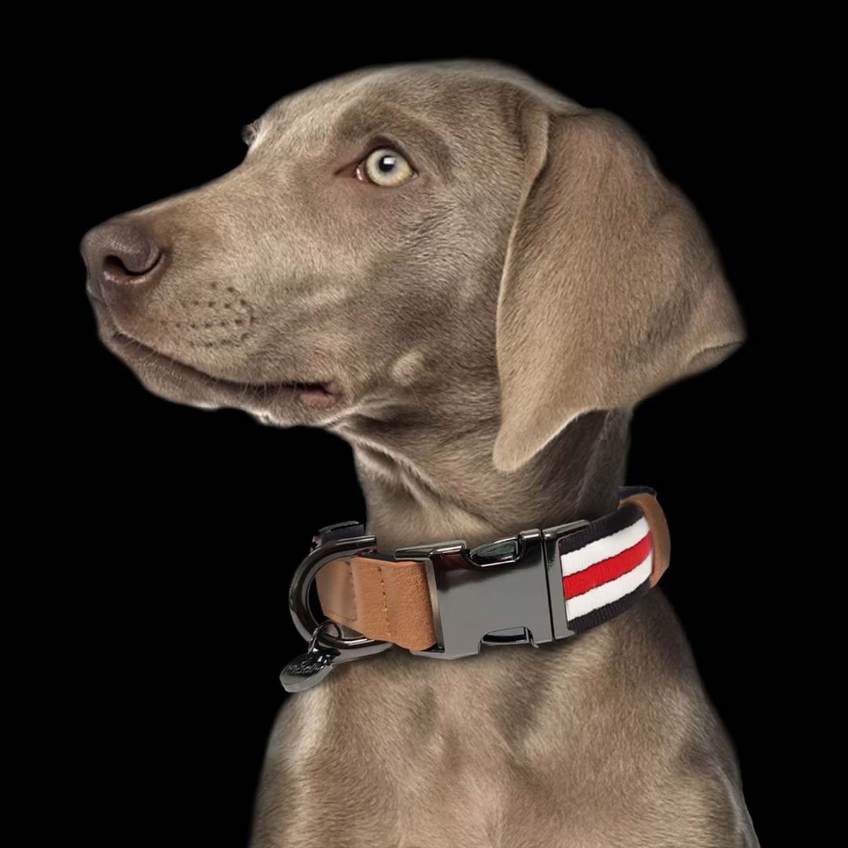 HONDENHALSBAND/HALSBAND HOND MILK & PEPPER HERITAGE VERSTELBAAR ( M30= MAAT 25-36cm)
