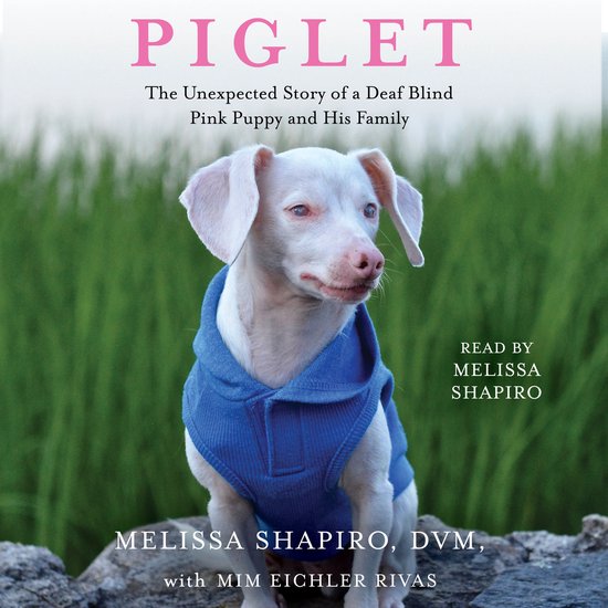 Piglet - cover