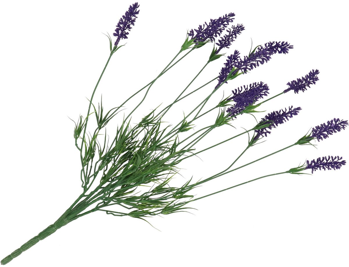 Daan Kromhout - Kunstbloem - Kunsttak - Lavendel - Paars - 62cm