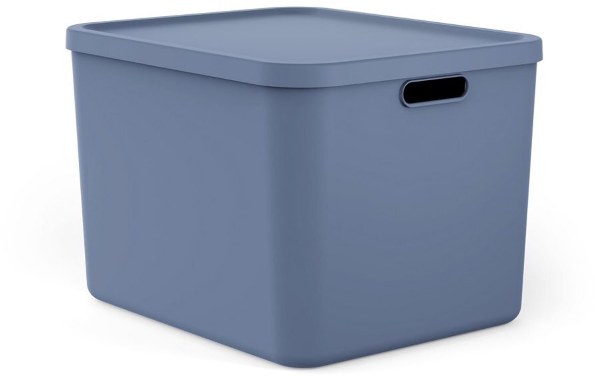 Rotho Albula Multibox 55L Blauw