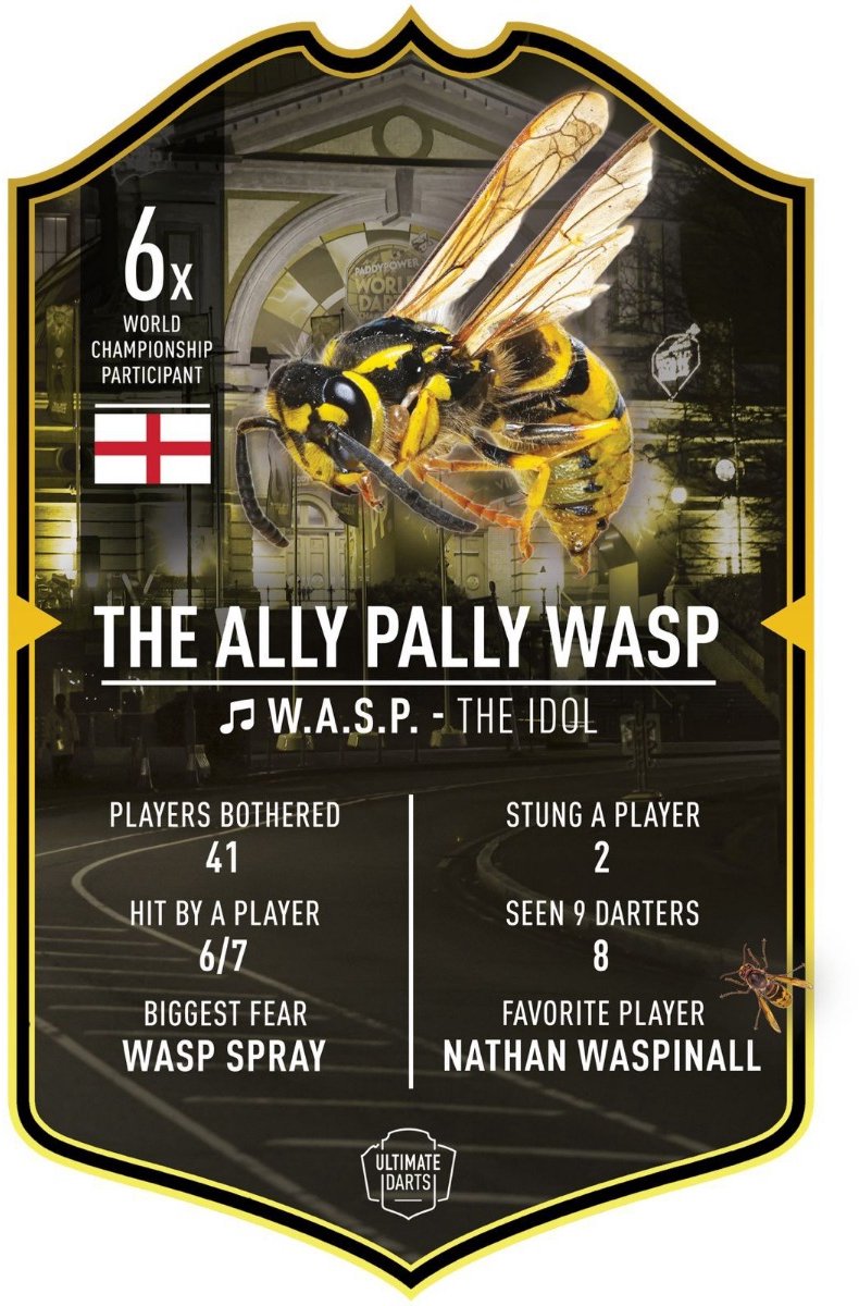 Ally Pally Wasp 2026 Ultimate Card 37x25cm