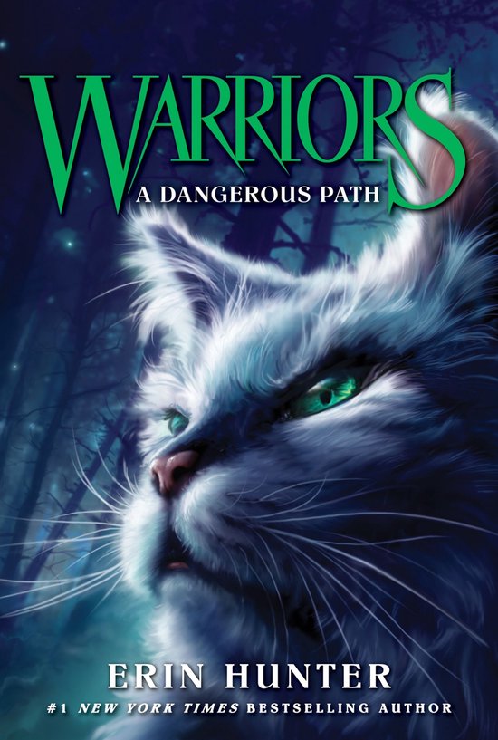 A Dangerous Path - cover