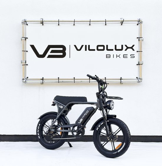Elektrische Vilolux fatbike 250W 60 km actieradius 20×4 inch banden hydraulische remmen alarm USB oplader