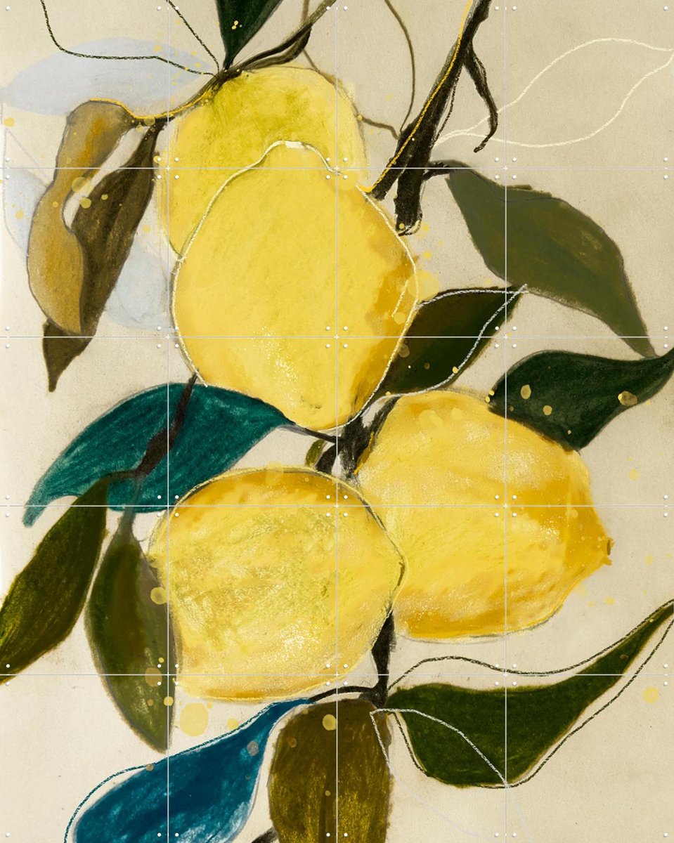 IXXI Lemon Study 1, Leigh Viner - 80 x 100 cm - Gratis ophangtool - Grote wanddecoratie en posters - Abstract, Kleurrijk, Eten & Drinken, Botanisch