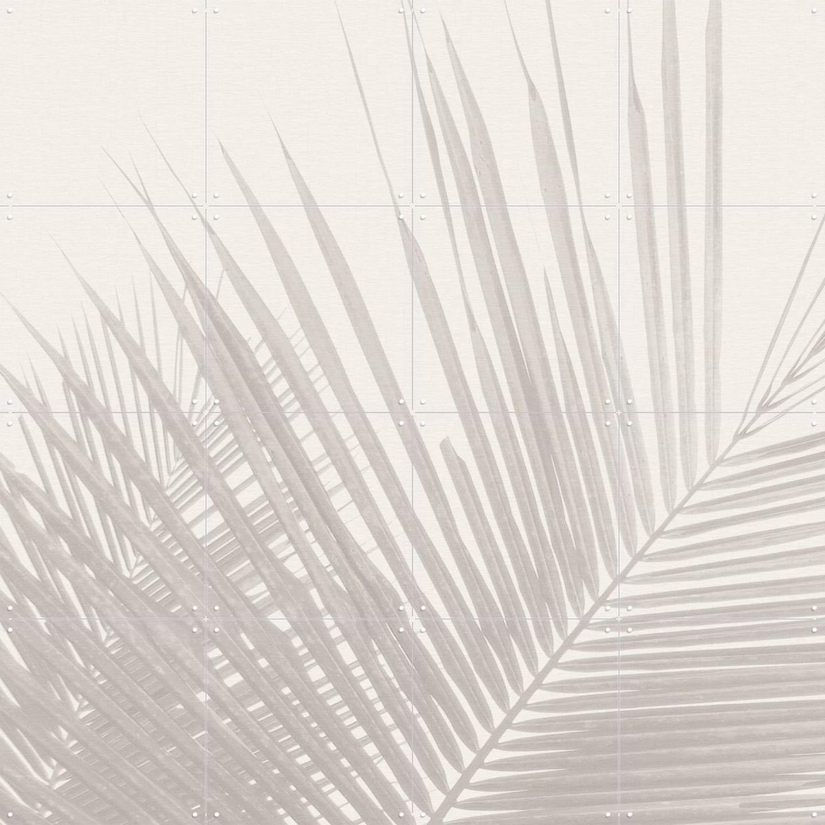 IXXI Neutral Tropical palm leaves, Bloomery Decor - 80 x 80 cm - Gratis ophangtool - Grote wanddecoratie en posters - Minimalisme, Fotografie