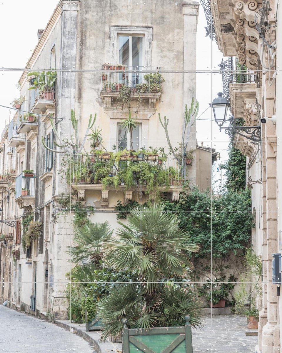 IXXI Botanical Street Scene, Photolovers - 80 x 100 cm - Gratis ophangtool - Grote wanddecoratie en posters - Fotografie, Botanisch, Architectuur