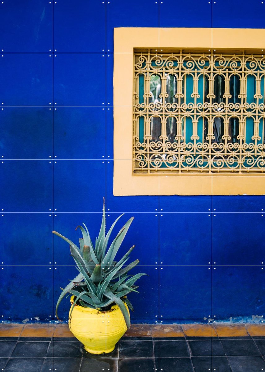 IXXI Yellow and Blue Agave, Pati Photography - 100 x 140 cm - Gratis ophangtool - Grote wanddecoratie en posters - Fotografie, Kleurrijk, Botanisch