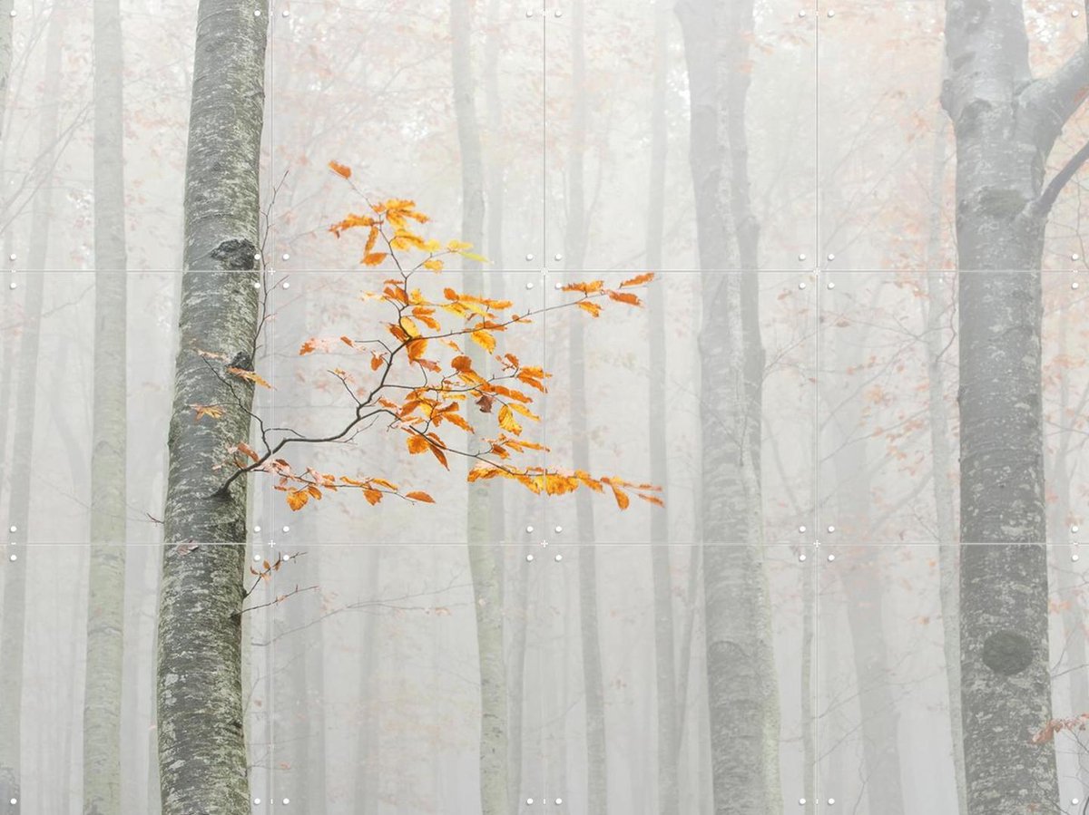 IXXI Autumn 2020, Aglioni Simone & Various - 80 x 60 cm - Gratis ophangtool - Grote wanddecoratie en posters - Fotografie, Woonkamer, Slaapkamer