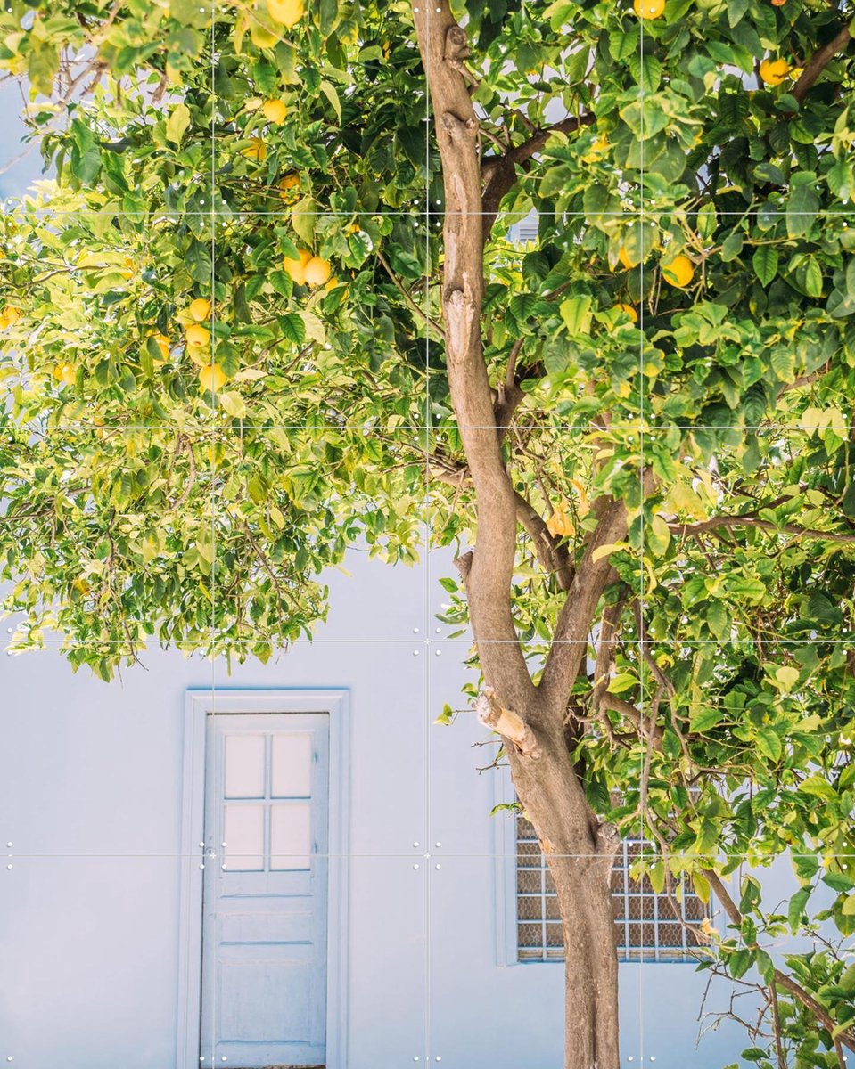 IXXI Blue House Lemon Tree, Pati Photography - 80 x 100 cm - Gratis ophangtool - Grote wanddecoratie en posters - Fotografie, Kleurrijk, Keuken