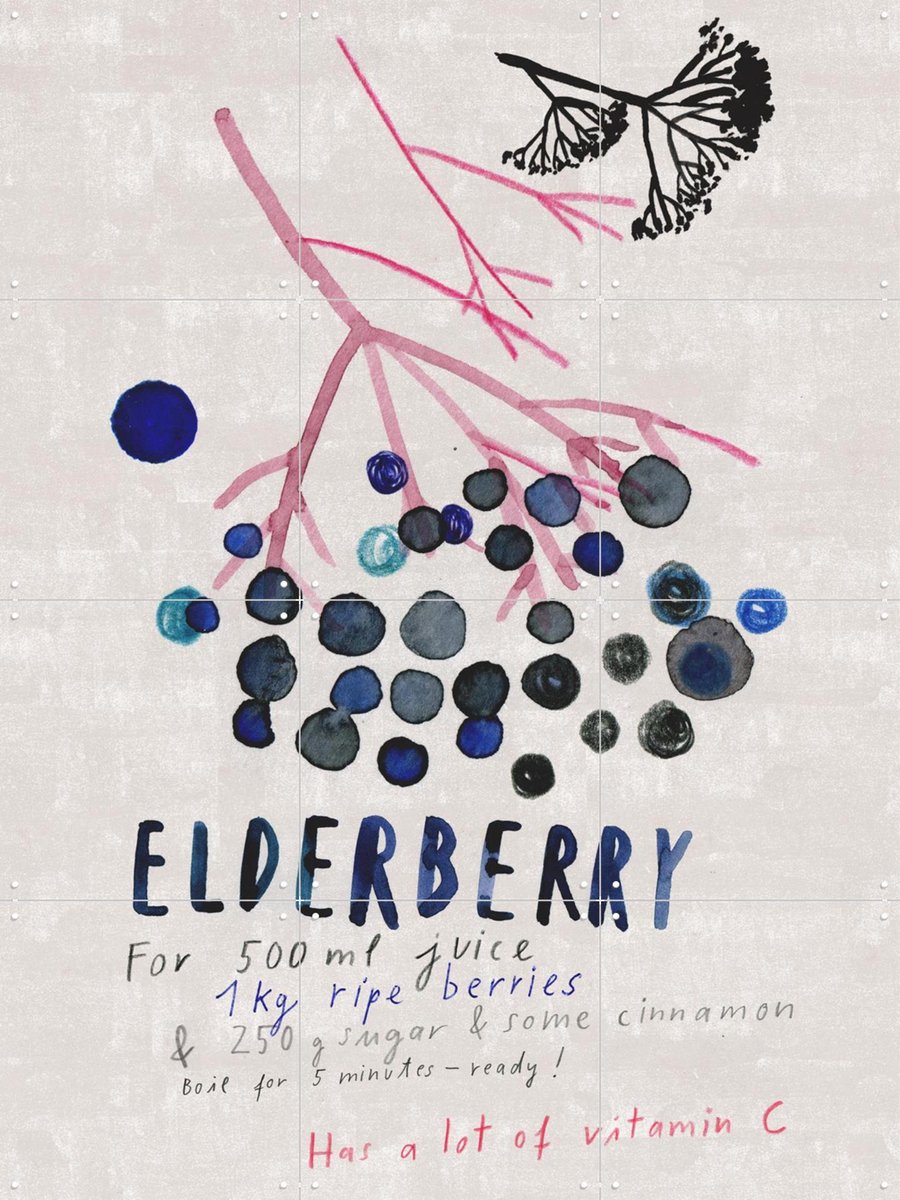 IXXI Elderberry, Signorinah - 60 x 80 cm - Gratis ophangtool - Grote wanddecoratie en posters - Illustraties, Aquarel, Speels, Keuken, Eetkamer