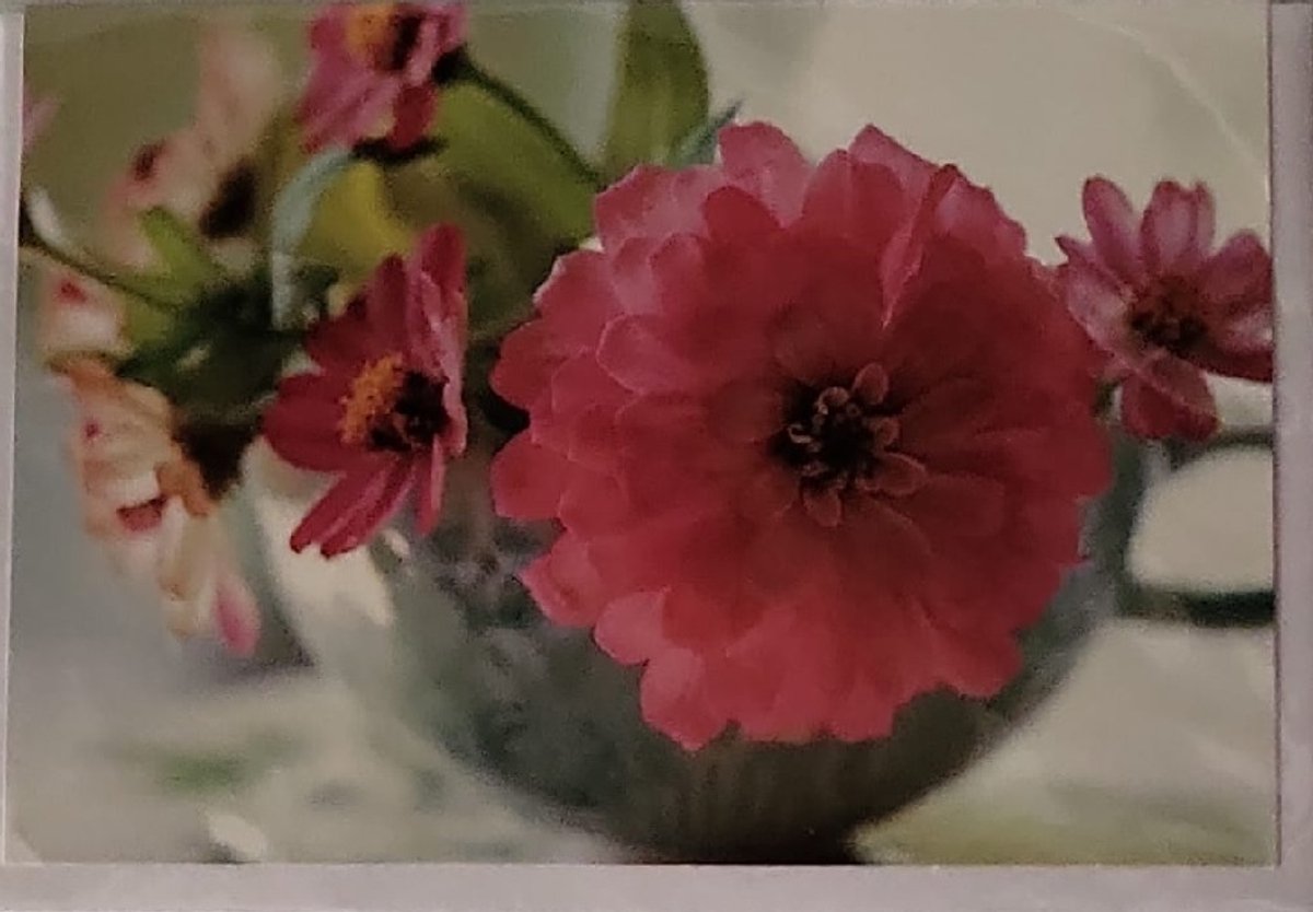 Een blanco kaart met een mooie afbeelding van bloemen die op tafel staan. Leuk om zo te geven of om bij een bos bloemen te voegen. Een dubbele wenskaart inclusief envelop en in folie verpakt.