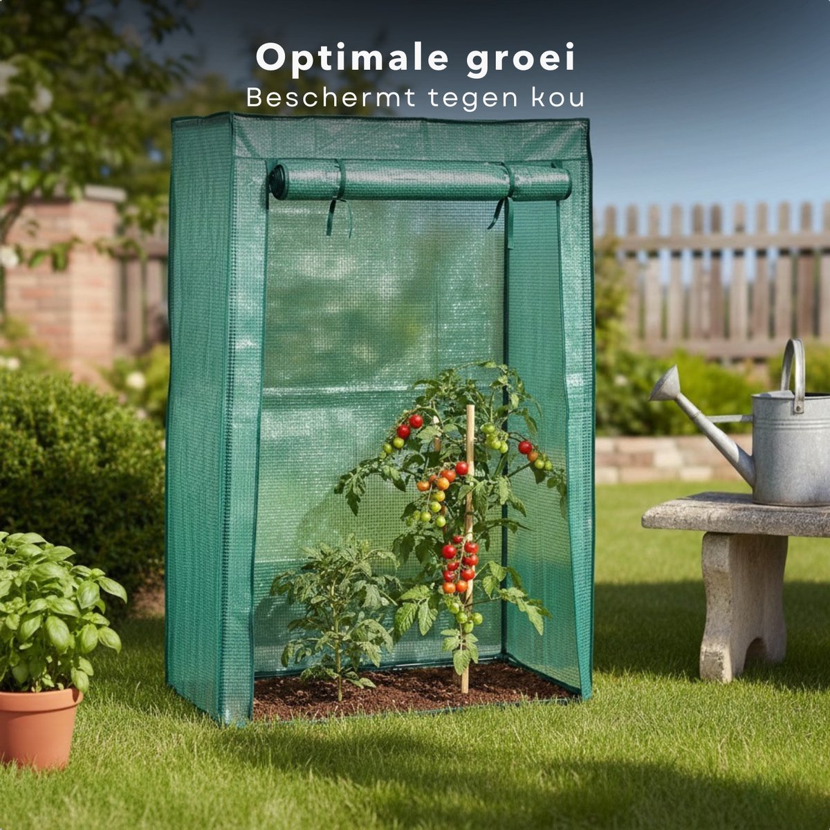 Tomatenkas - Tomaten Kweekkas - Tomaten Serre - Kweekkas - Broeikas - Foliekas - Tuinkas - Plantenkas - Koude Kas - Mini Tuinkas - Kleine Tuinkas - Tomatenkas Met Deur - Tomatenkas Voor Balkon - Tomatenkas Voor Tuin – foto 4