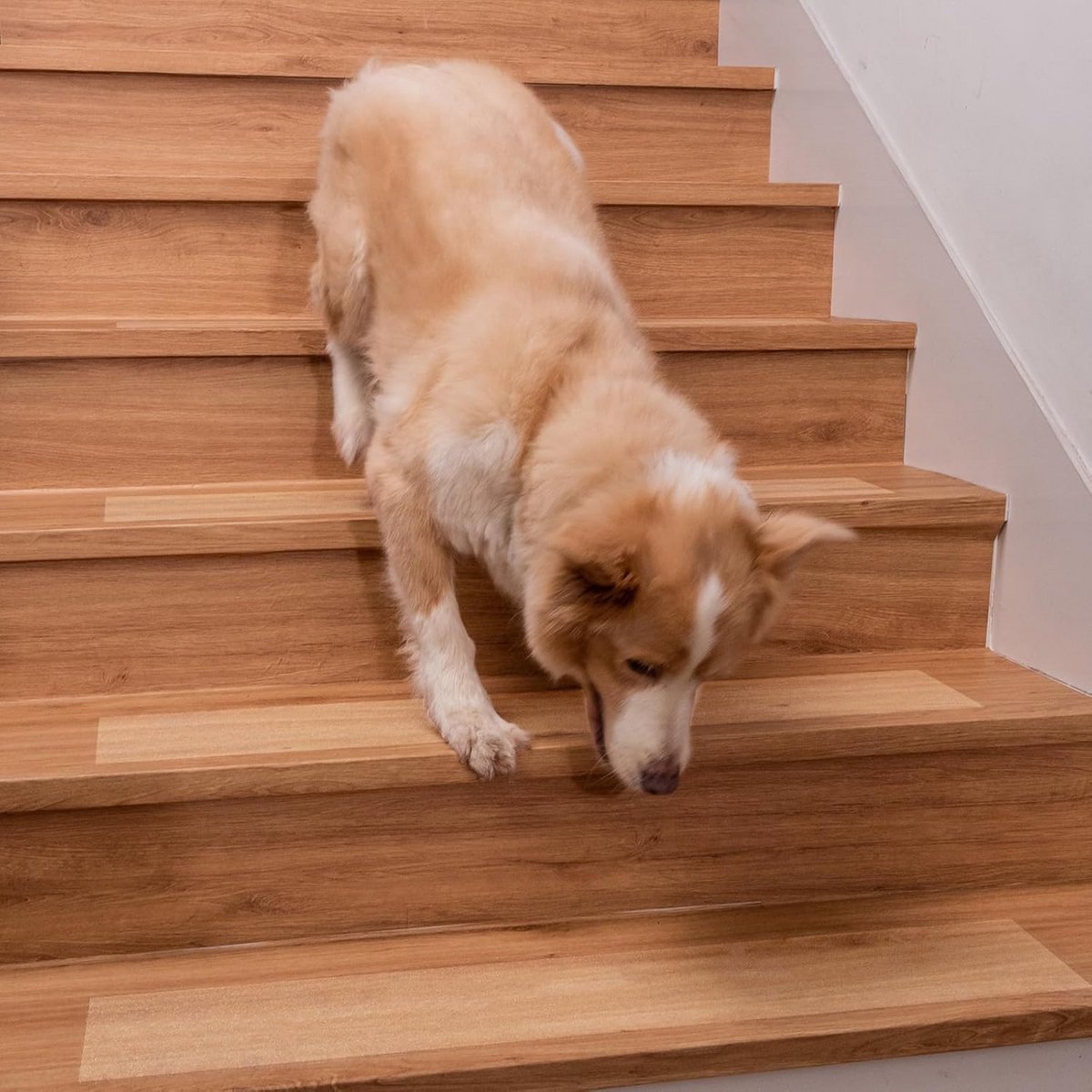 Antislip Trapmatten voor Trappen - Heldere Zelfklevende Strips, Set van 15