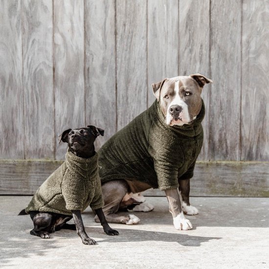 Vêtements pour chiens du Kentucky | Chiens Pull | Teddy Polaire Vert L