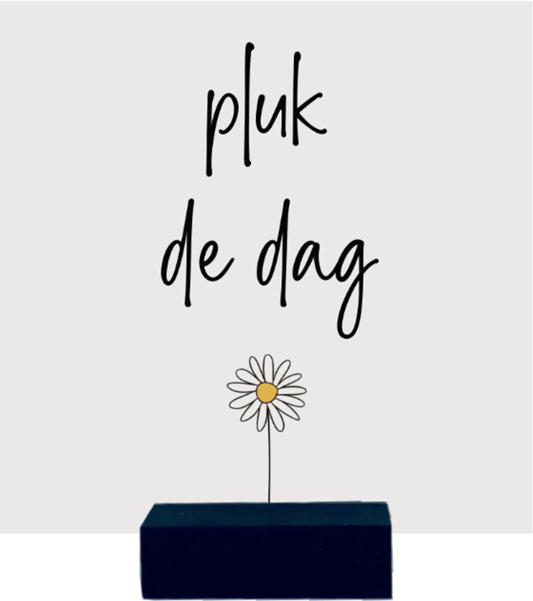 PLUK DE DAG | tegeltje van forex | 13 x 13 cm | met zwarte houder